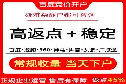 某某sem推广公司实战案例：精准投放提升转化率